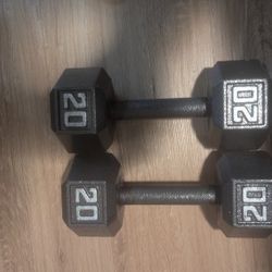 Pair Of 20lb Dumbbells 