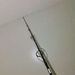 8ft surf rod