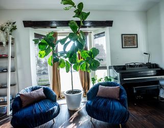 Accent Blue Velvet Chairs
