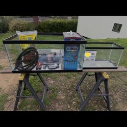 40 Gallon Aquarium Fish Tank