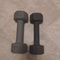 Two 10 Pound Wieghts
