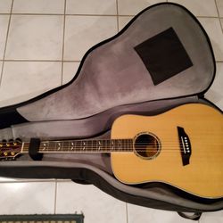 Orangewood Echo Guitar