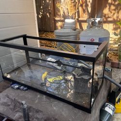 Terrariums