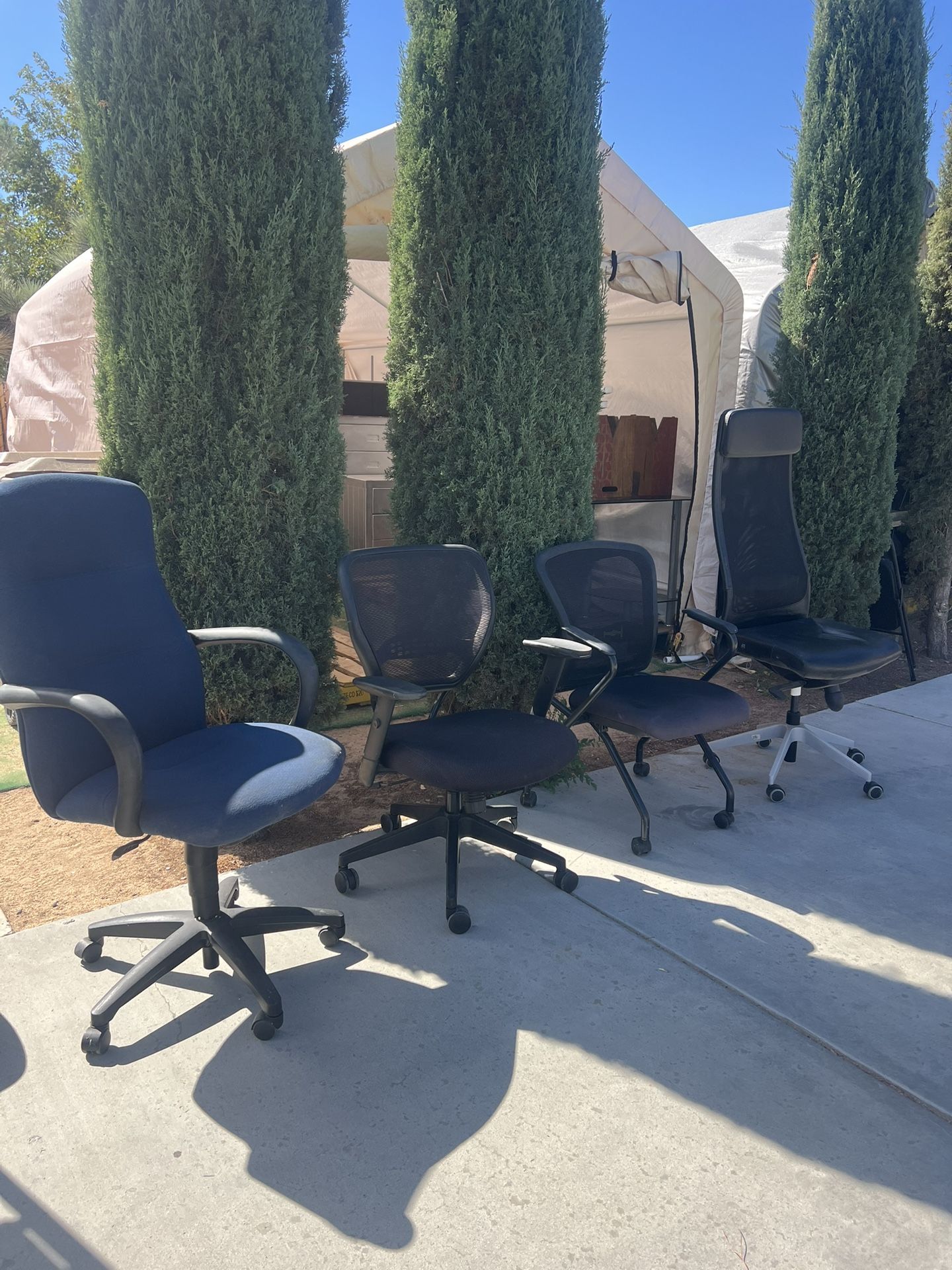 Office Chairs! $50/EACH