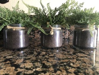 (3) Matching Artificial Accent Plants