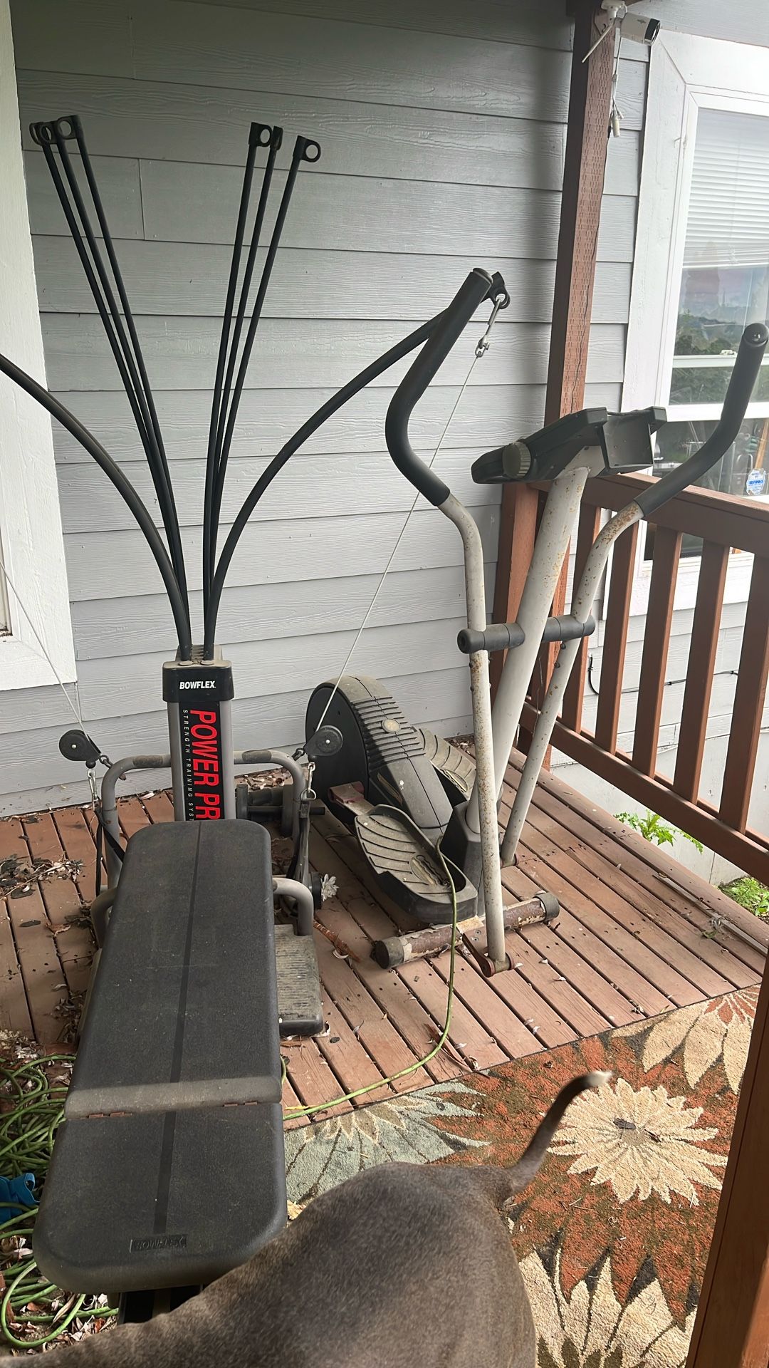 Gym Equipment