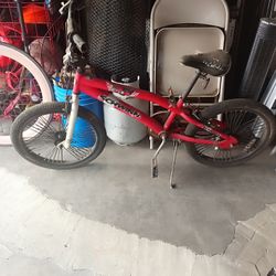 Schwinn Falcon