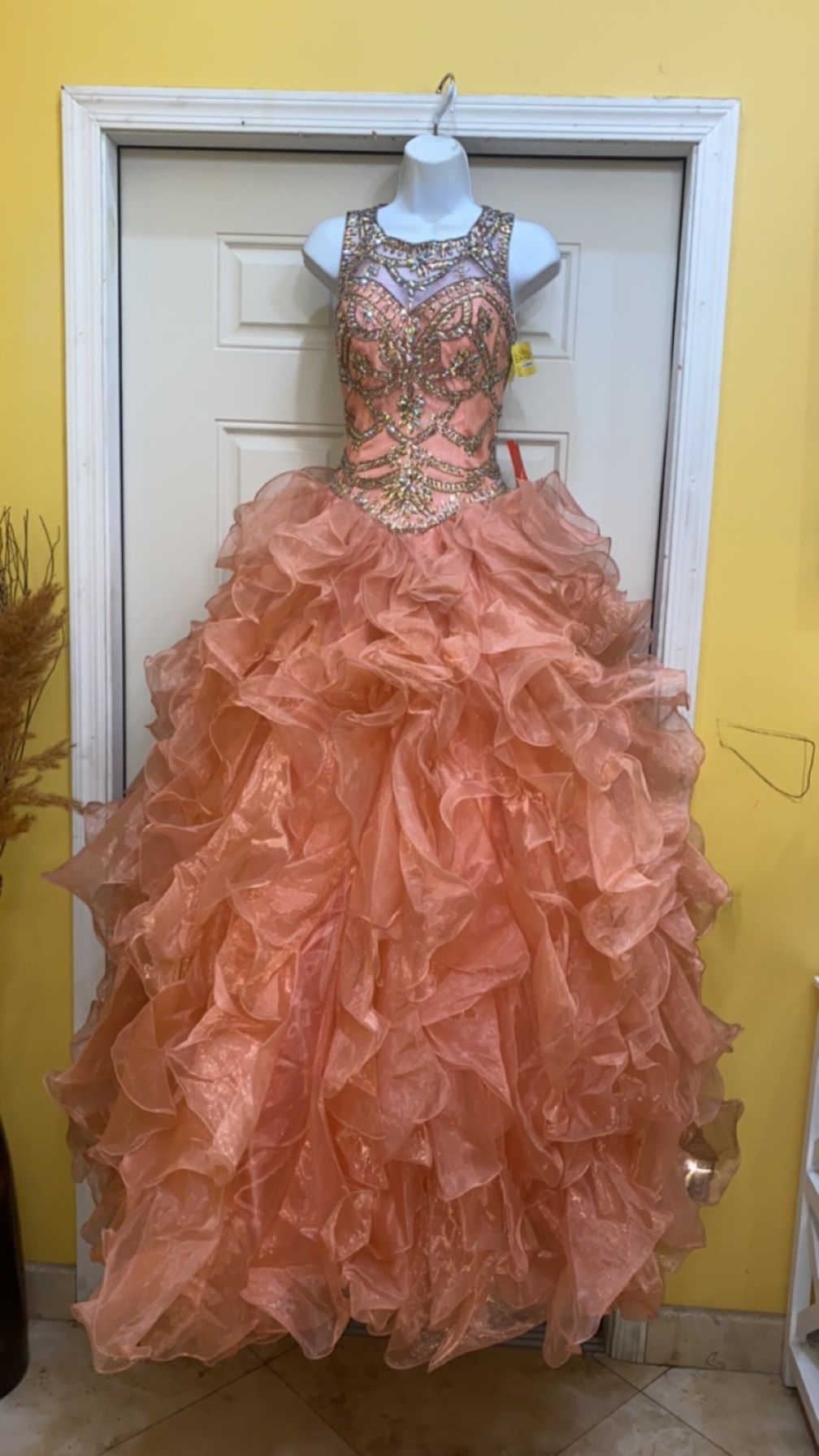 Quinceañera Dress