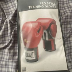 Pro Style Boxing Gloves