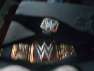 WWE Wrestling Belt.