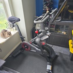 Piloting Bike