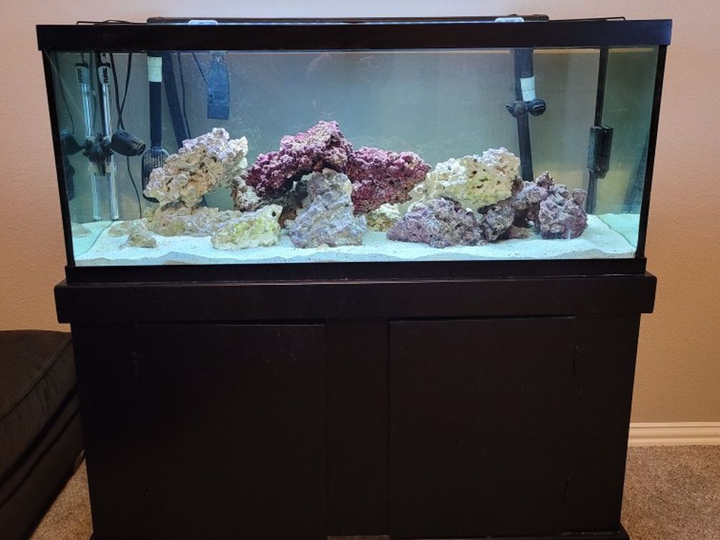 75 Gallon Aquarium and Stand, Includes About 70 Pounds Of Live Rock