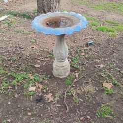 Bird Bath