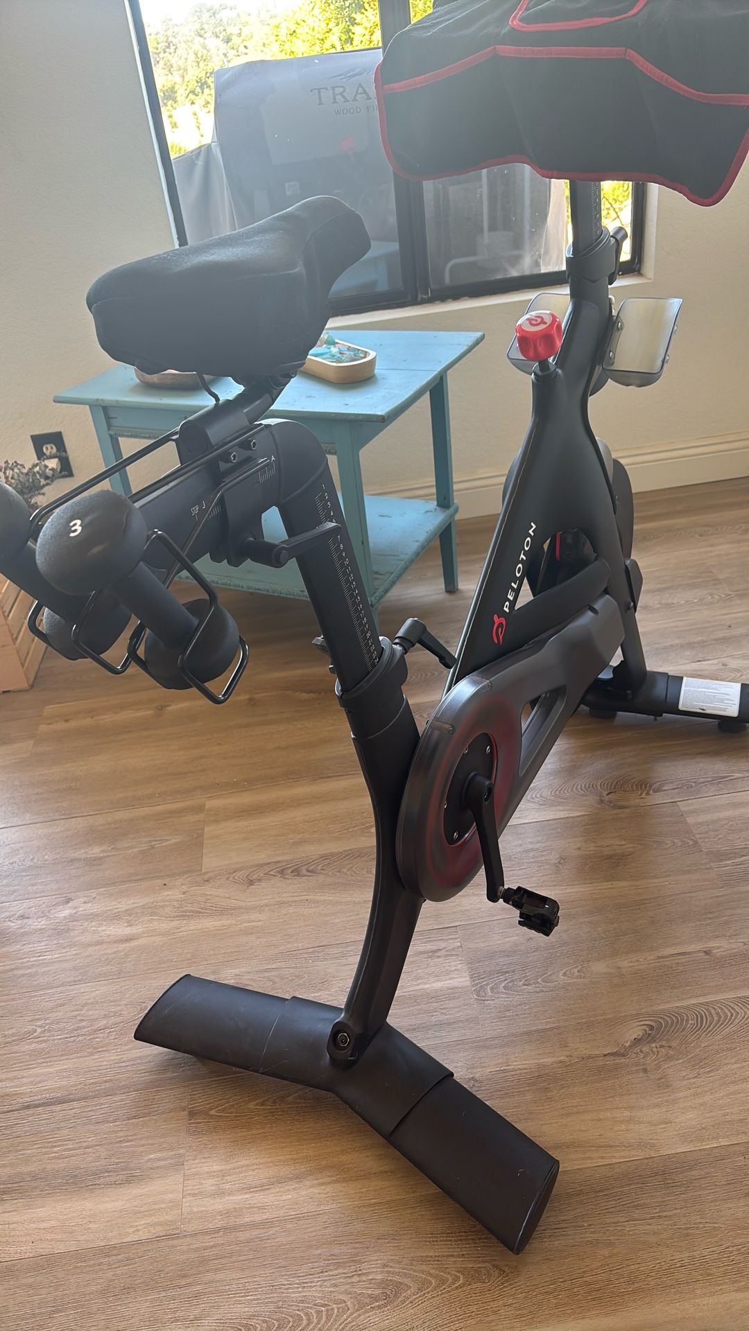 PELETON WITH WEIGHTS & SHOES