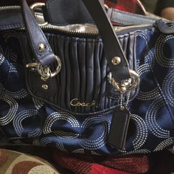 Coach,blue medium-sized bag