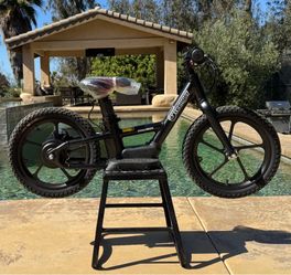 Greenger saddleback 16 inch ebike electric bike Stacyc