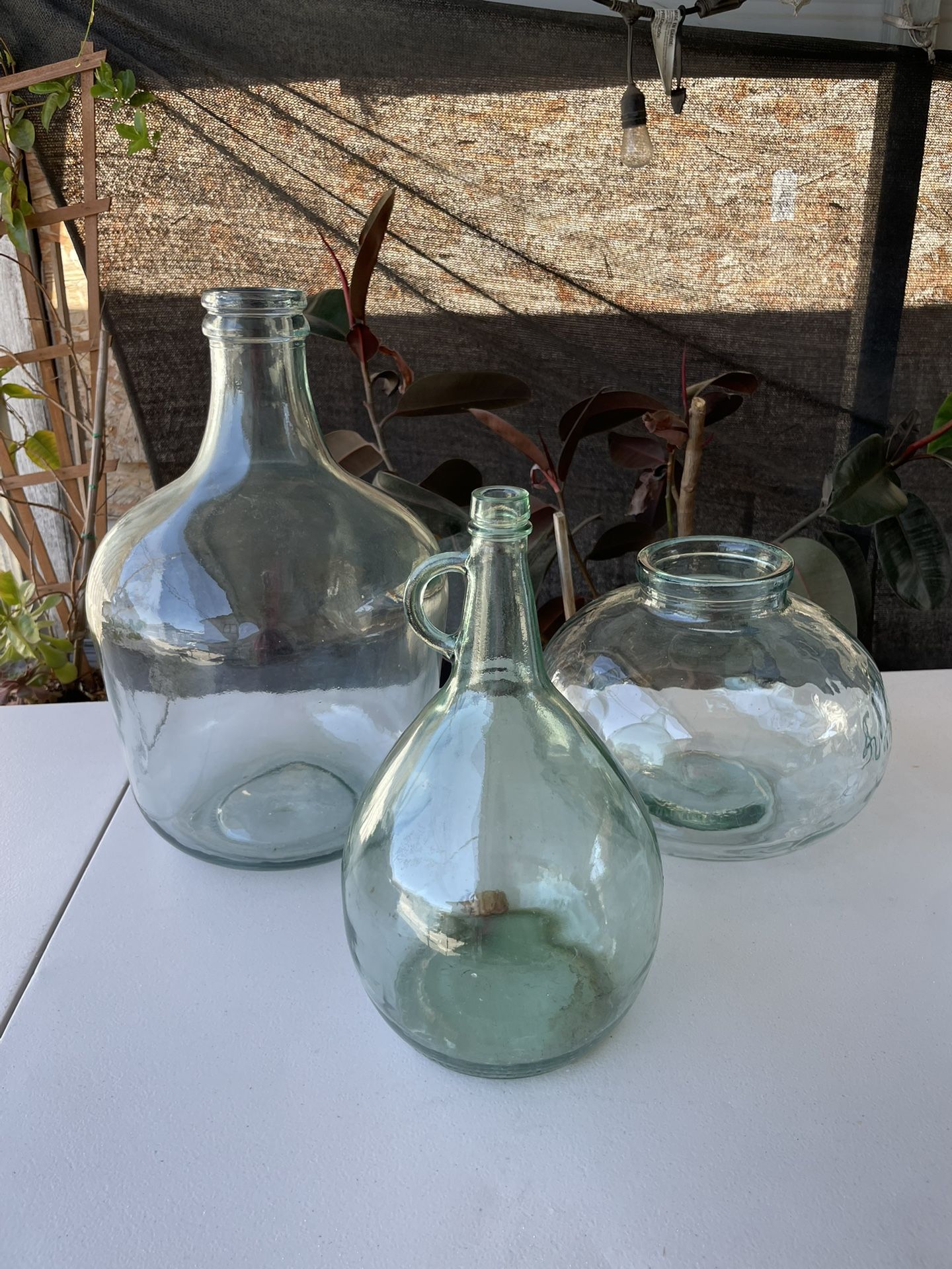 Different Glass Vases