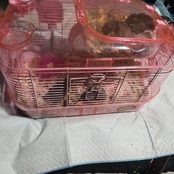 Dwarf And Syrian Hamster Cages