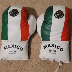 Boxing Gloves With Mexican Flag