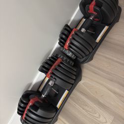 BowfleX Adjustable dumbbell Set