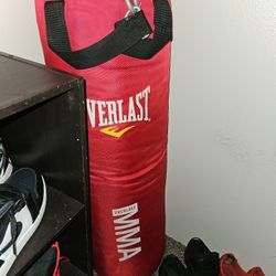 Everlast Mma Punching Bag