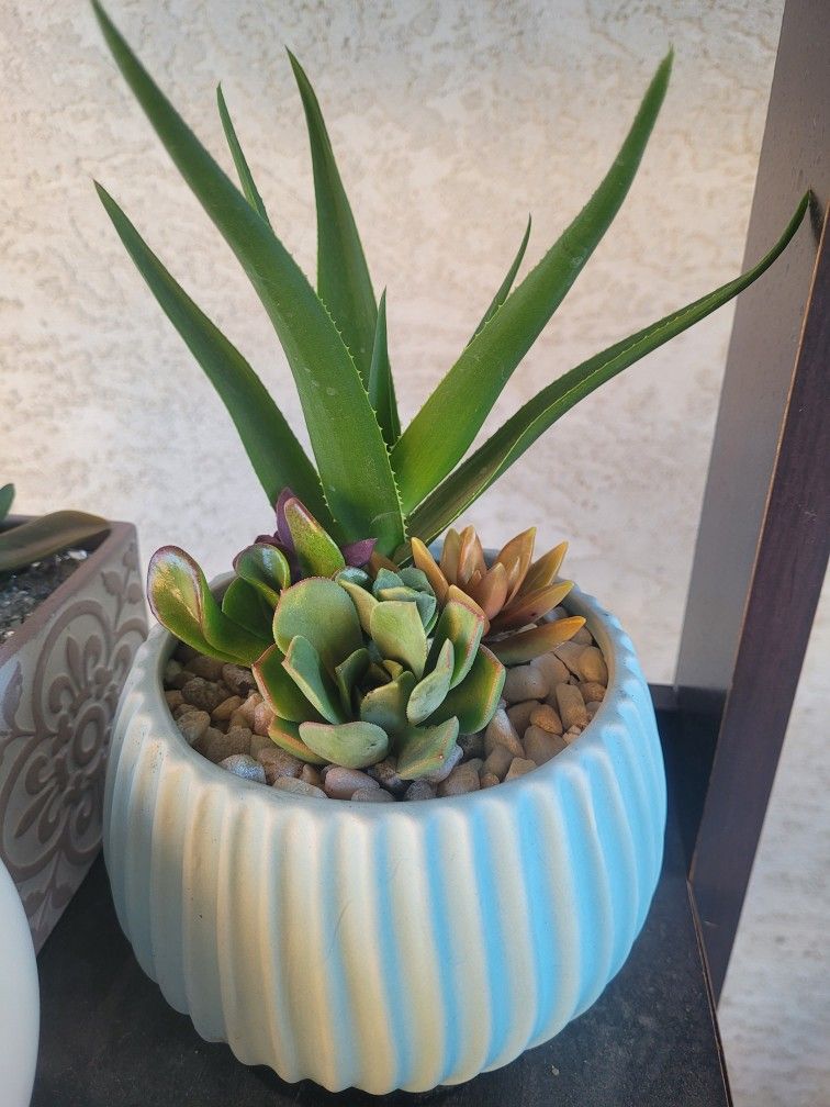 Baby Blue Ceramic Pot