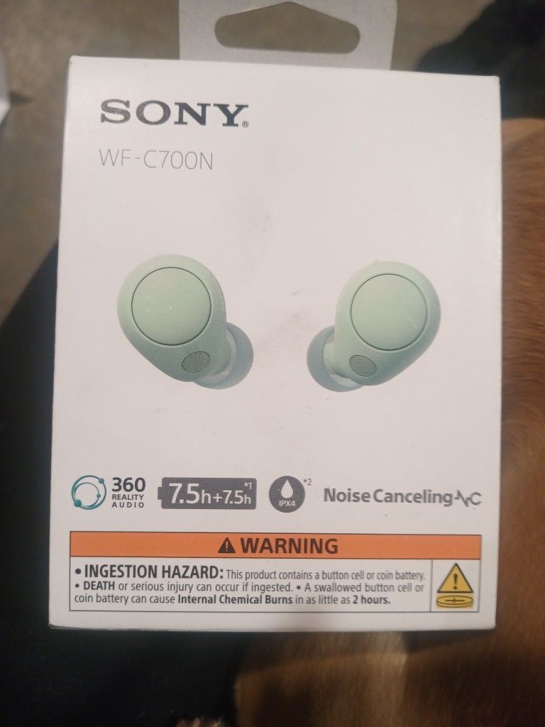 Sony Headphones
