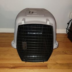 Pet Champion