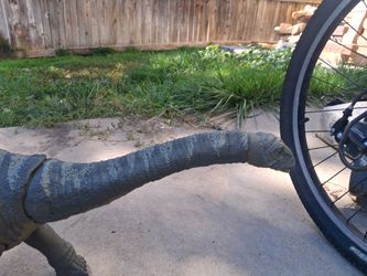 Large Plastic apatasaurus Dinosaur Figure about 3 feet long