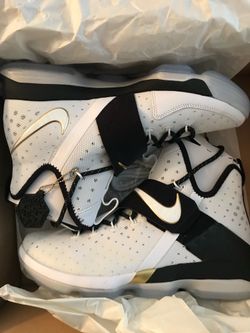LeBron Shoes