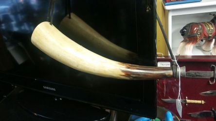 Buffalo horn.