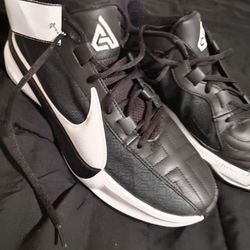 Nike Giannis Freak 5 limited edition air max jordans