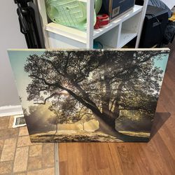 Canvas Print 