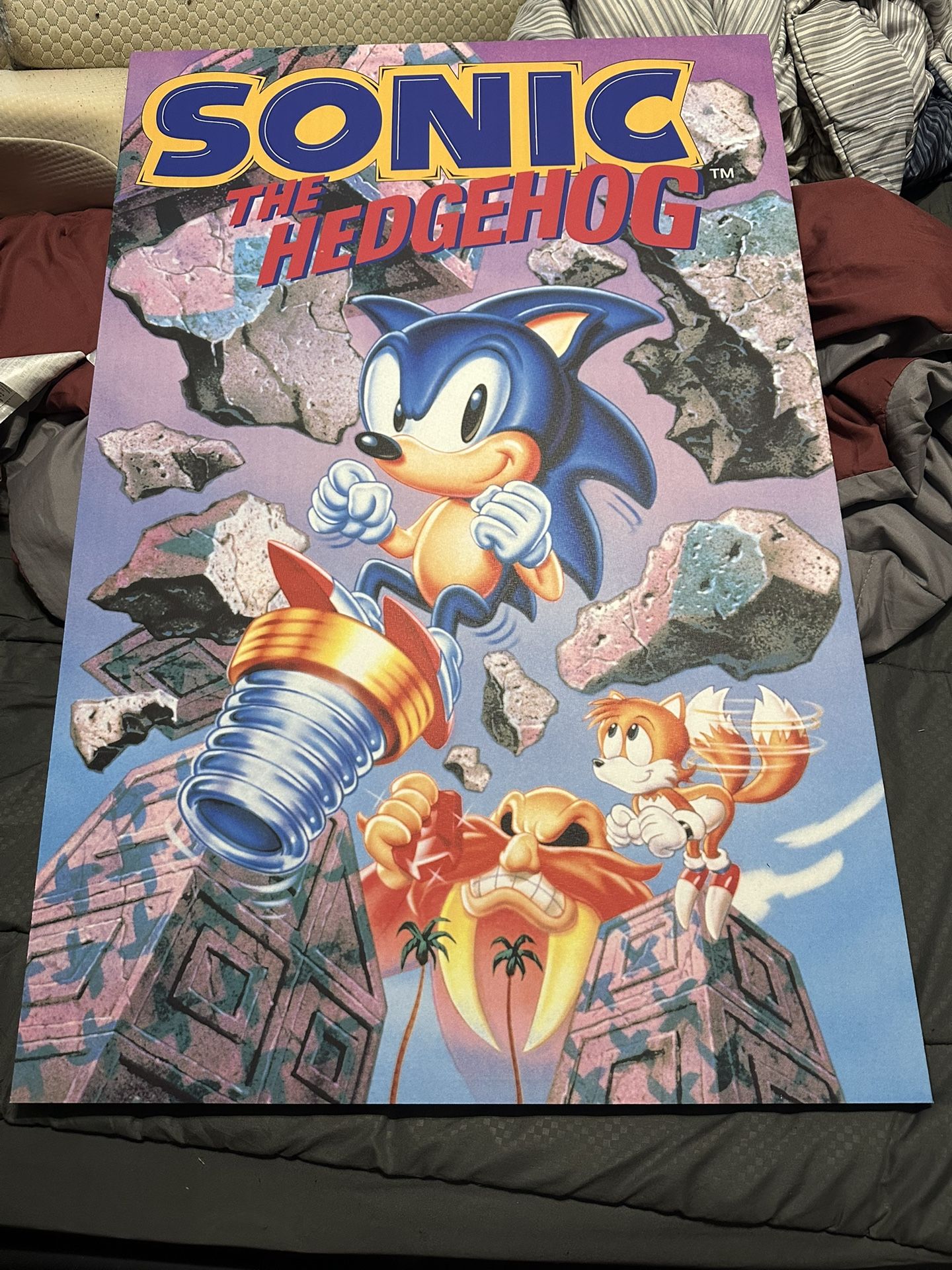 Sonic The Hedgehog- Wall Canvas