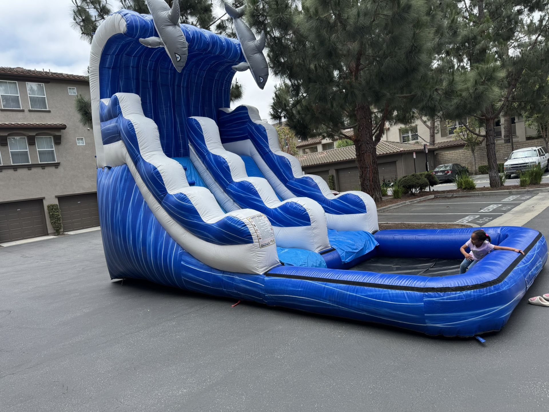 Water Dolphin Slide
