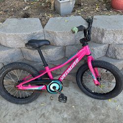 16” Specialized Rip Rock