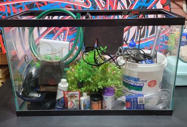 40 Gallon Fish Tank w/lid
