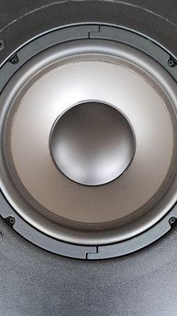 Polk Audio Sub 10in Works