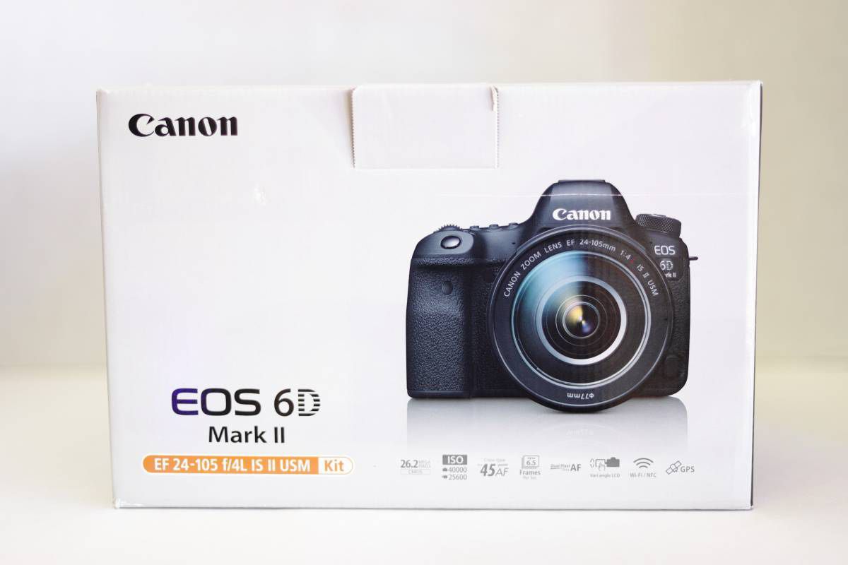 Canon 6D Mark II with EF 24-105mm f/4L IS II USM