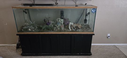 140 Gallon Aquarium