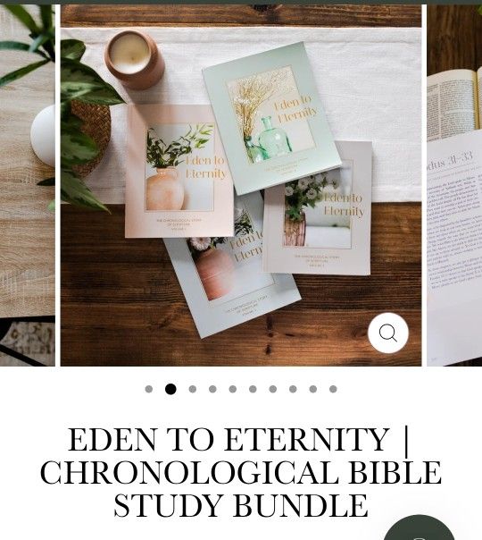 365 Bible Study Workbooks