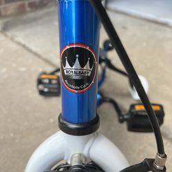 Royalbaby 14” Cycle