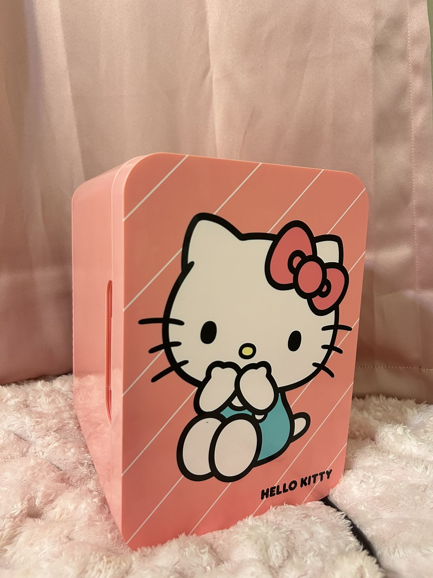 Pink Hello Kitty Mini Fridge π©·
