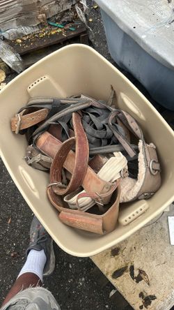 Equestrian Tack Make Offer. Asking $200 Or Best Offer.