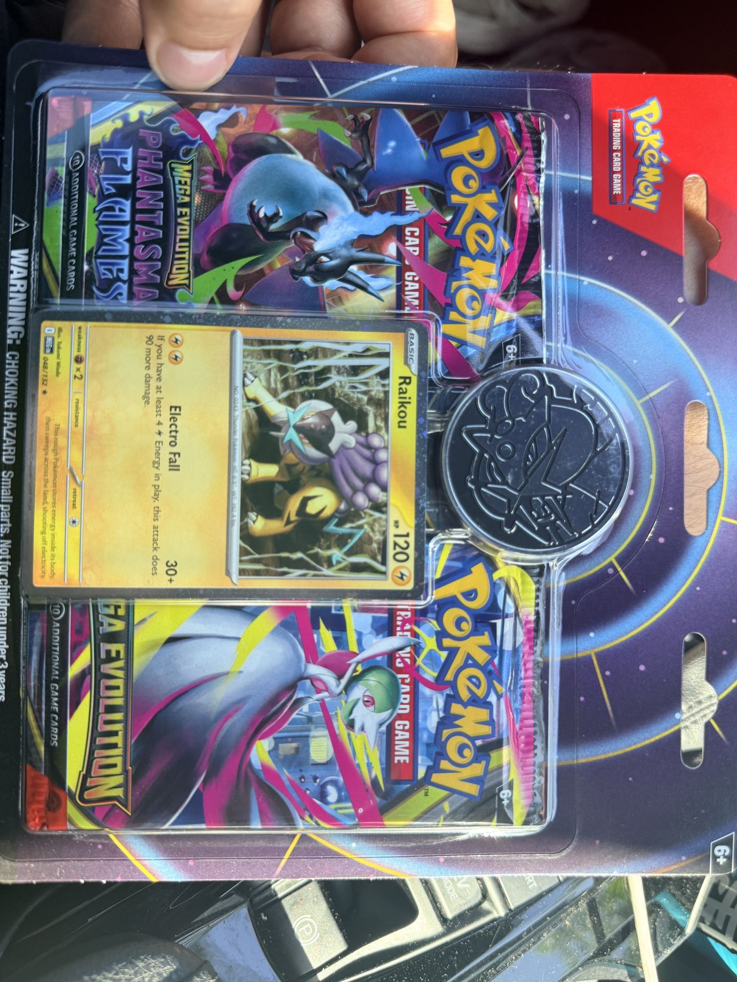 Raikou 2-pack
