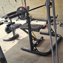Bench And Weights 