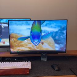 Dell 27” Gaming Monitor