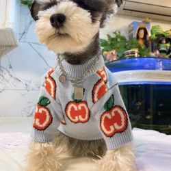 Knitting pattern dog / Warm dog sweater / XXS -Large dog coat pattern / Pet clothes pattern