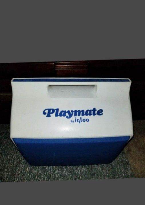 Medium Playmate Ice Chest