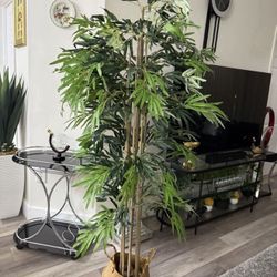 Pretty Artificial Plant 6 Ft Tall Bamboo Tree ! Brand New  ( Ask For Price)